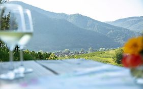 Weinbau Weidenauer